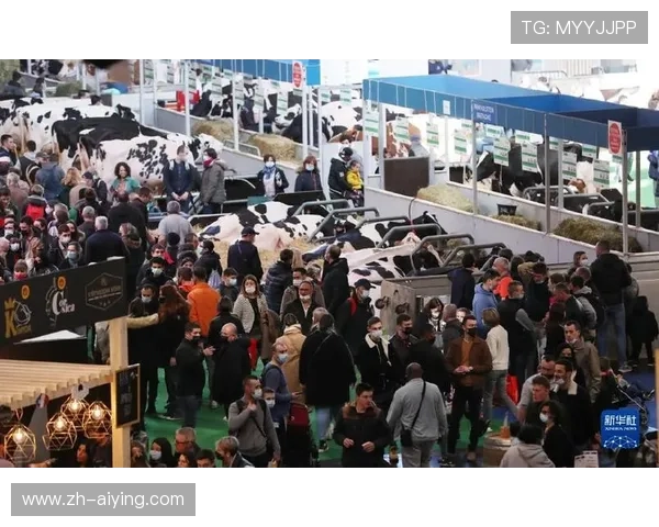 揭秘亚博YaBoapp官网常见问题及解决建议分享