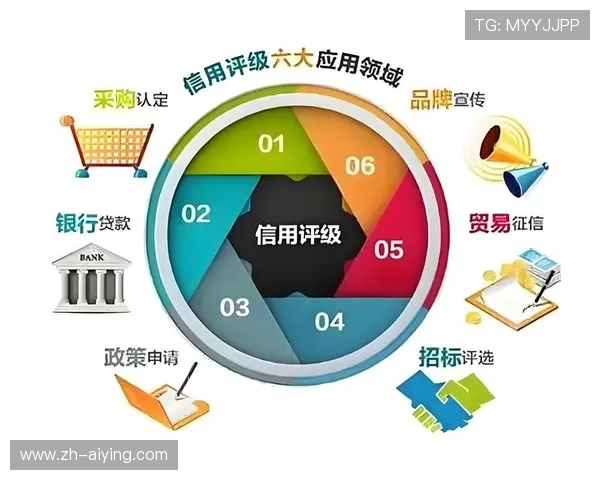 海星手机官网提供的客户服务与售后支持详解