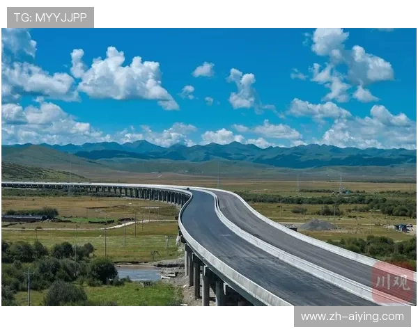 久发365下载平台实现高速下载，节省用户宝贵时间